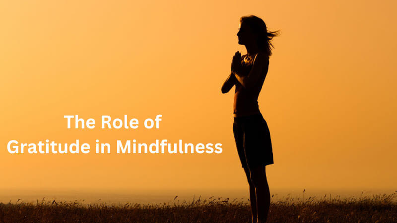 The Role of Gratitude in Mindfulness